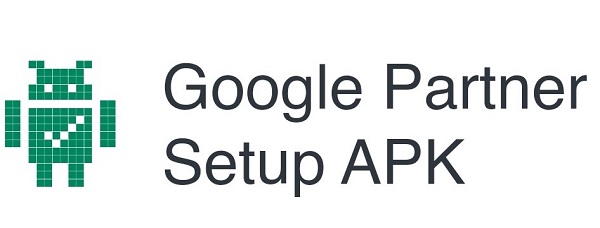 Google Partner Setup