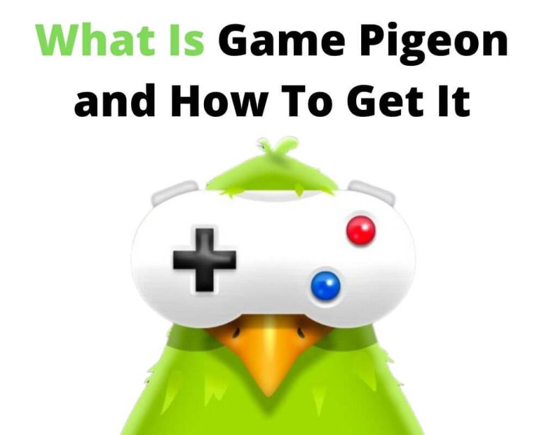 What Is Game Pigeon and How To Get It