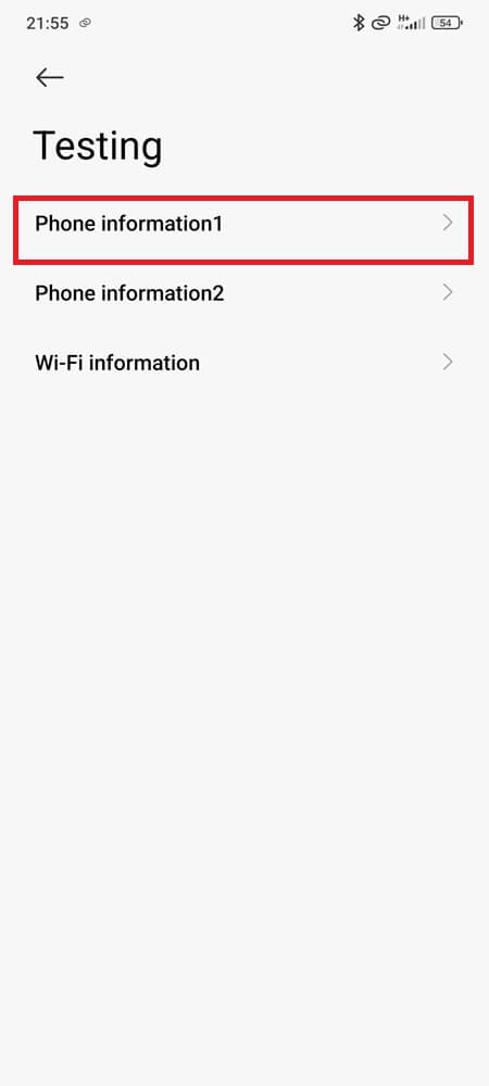 Diagnostic screen showing phone information in Testing Interface 2