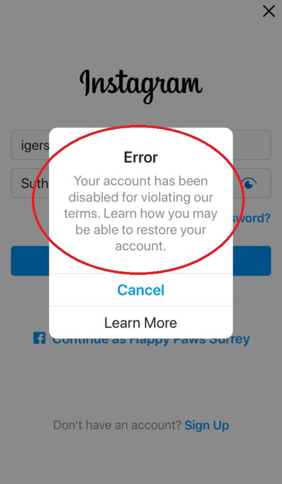 Account Disabled on Instagram