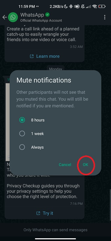 Mute WhatsAPP Notification