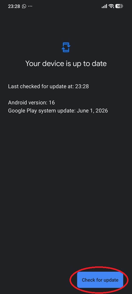 Google Play System Update Check 2